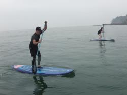 7/6 PM sup（サップ、スタンドアップパドル）体験スクール付きレンタル 動画　鎌倉ハイサーフ