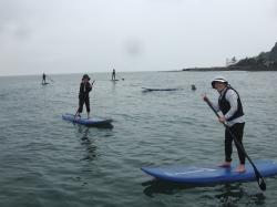 6/11 SUP(サップ、スタンドアップパドル)体験スクール付きレンタル 鎌倉ハイサーフ