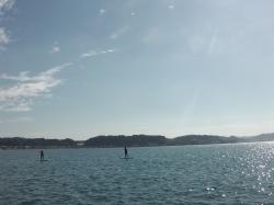 10/12 AM SUP(サップ、スタンドアップパドル)体験スクール付きレンタル  鎌倉ハイサーフ