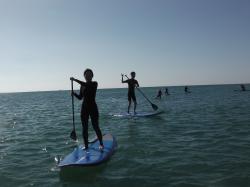 10/14 AM SUP(サップ、スタンドアップパドル)体験スクール付きレンタル   鎌倉ハイサーフ
