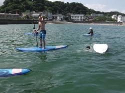 8/1 PM SUP(サップ、スタンドアップパドル)体験スクール付きレンタル  鎌倉ハイサーフ