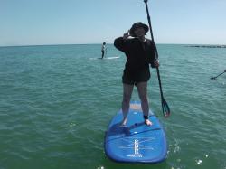 8/10 PM SUP(サップ、スタンドアップパドル)体験スクール付きレンタル  鎌倉ハイサーフ