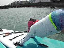 8/19 PM SUP(サップ、スタンドアップパドル)体験スクール付きレンタル 鎌倉ハイサーフ