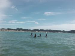 11/1 AM SUP(サップ、スタンドアップパドル)体験スクール付きレンタル  鎌倉ハイサーフ