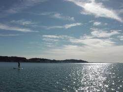 11/4 AM SUP(サップ、スタンドアップパドル)体験スクール付きレンタル  鎌倉ハイサーフ