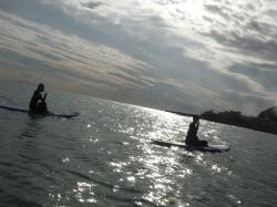 11/18 PM SUP(サップ、スタンドアップパドル)体験スクール付きレンタル  鎌倉ハイサーフ