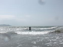 5/4 AM SUP(サップ、スタンドアップパドル)体験スクール付きレンタル 