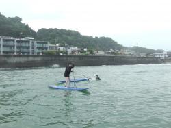 6/15 PM SUP(サップ、スタンドアップパドル)体験スクール付きレンタル  鎌倉ハイサーフ