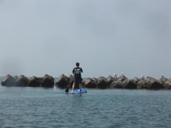 7/8 AM SUP(サップ、スタンドアップパドル)体験スクール付きレンタル  鎌倉ハイサーフ