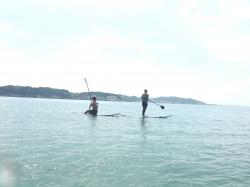 8/14 AM SUP(サップ、スタンドアップパドル)体験スクール付きレンタル  鎌倉ハイサーフ