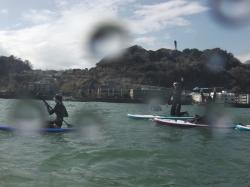 3/19 PM SUP(サップ、スタンドアップパドル)体験スクール付きレンタル  鎌倉ハイサーフ