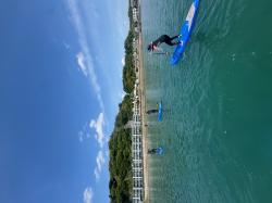 4/26  AM SUP(サップ、スタンドアップパドル)体験スクール付きレンタル  鎌倉ハイサーフ