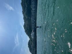 6/6 AM SUP(サップ、スタンドアップパドル)体験スクール付きレンタルサップ   鎌倉ハイサーフ