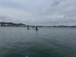 7/4 PM SUP(サップ、スタンドアップパドル)体験スクール付きレンタル   鎌倉ハイサーフ