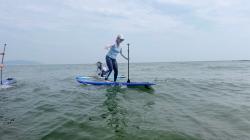 7/14 PM SUP(サップ、スタンドアップパドル)体験スクール付きレンタル  鎌倉ハイサーフ