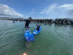 7/18 PM SUP(サップ、スタンドアップパドル)体験スクール付きレンタル  鎌倉ハイサーフ