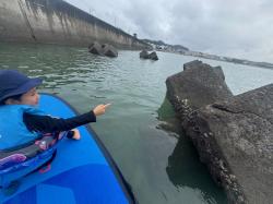 9/13 AM SUP(サップ、スタンドアップパドル)体験スクール付きレンタル  鎌倉ハイサーフ