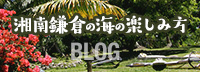 湘南鎌倉の海の楽しみ方(ブログ)